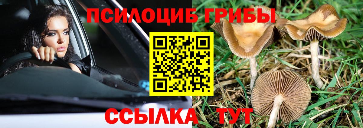 Псилоцибиновые грибы ЛСД Чусовой