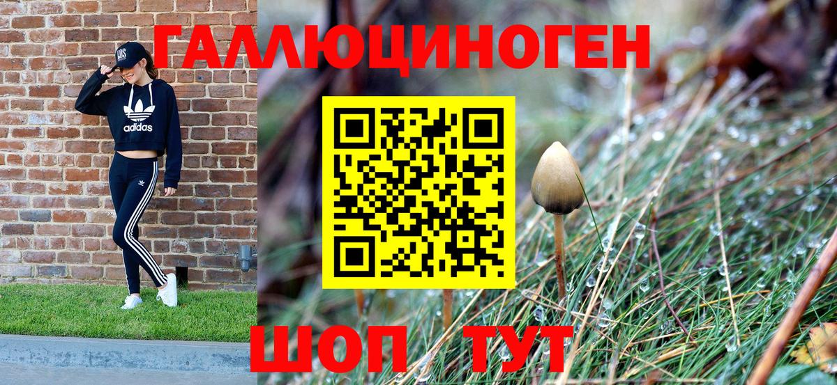 Галлюциногенные грибы мухоморы  купить  цена  Чусовой  Вход с VPN 